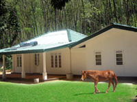Image Gallery