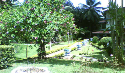 Image Gallery