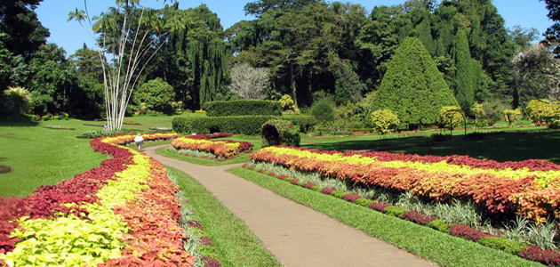Haggala Botanical Gardens
