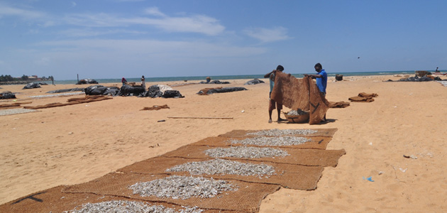 Negombo Fishing Village